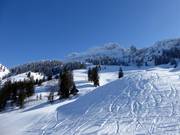 Vista sulla Kampenwand