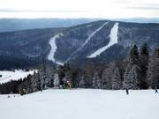 Vista sulle piste dello Zwieselberg