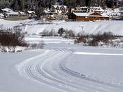 Pista di fondo in quota a Solda