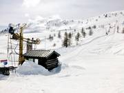 Plateau - Skilift a piattello