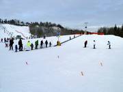 Tappeto mobile con pista per principianti