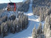 Facile discesa a valle ideale per principianti