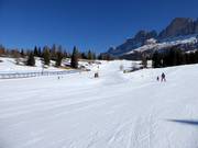 Pista facile n. 43 Golf