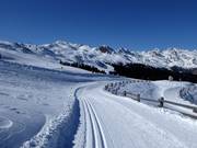 Pista d'altitudine Platschjoch