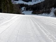 Eccellente preparazione delle piste