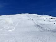 Pista nera Pfannspitz