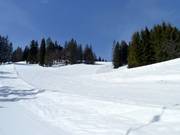 Discesa Schwarzenberg