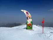 Suggerimento per i più piccoli 