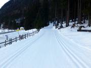 Pista panoramica per lo sci di fondo verso Eben