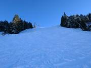 Pista nera con gobbe