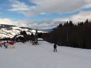 TK du Cabochon - Skilift a piattello