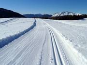 Pista di fondo in quota al Passo Rolle