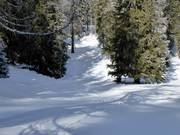 Pista di fondo in quota Schlickeralm: discese e salite