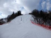 Pista da gobbe Ladies Downhill