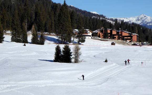 Sci di fondo Dolomiti di Brenta – Sci di fondo Madonna di Campiglio/Pinzolo/Folgàrida/Marilleva