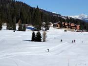 Pista da fondo a Madonna di Campiglio