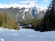 Pista mogul Bruno's Gully