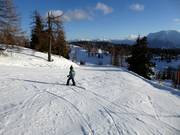 Pista facile Schneiderkogel