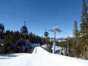 Pista facile Dodgeball