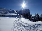 Suggerimento per i più piccoli 