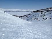 Fuori pista Svarta Björn