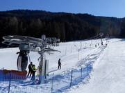 Abrahamwiese - Skilift a piattello