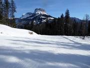 Discesa facile Rehkogel