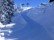 Pista da slittino dal ristorante di montagna Sonnenkopf alla stazione intermedia della Sonnenkopfbahn