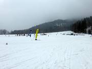 Hirschzwergland e Muli 1