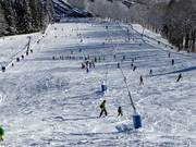 Innevamento con lance a Wegscheid