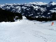 Pista n. 66 Jägerwurz