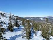 Aree freeride / fuoripista a Stöten