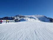 Vista sulle piste al Croix de la Chaux (Gryon)