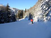 Discesa a valle Silbertal