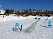 Rävens rullband - Tapis roulant/Tappeto Magico