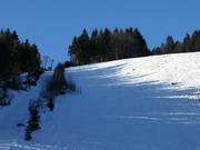 Discesa maschile Riegel