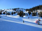 Facili discese presso lo Strawberry Express verso il Sunshine Village