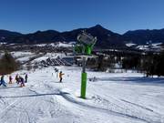 Innevamento allo Streidlhang