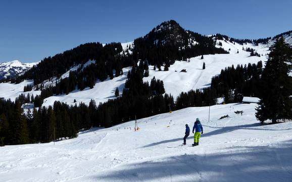 Sciare nella Saanetal