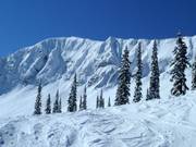 Neve fresca e polverosa al Fernie Alpine Resort