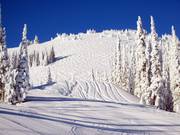 Piste di gobbe dalla stazione a monte della seggiovia Crystal Chair