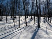 Un divertimento per gli esperti sono i Gladed Runs