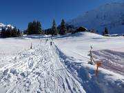 Ponylift Gerschnialp - Manovia/Babylift a fune bassa