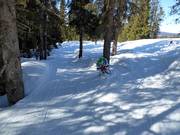 Pista Isas Waldpiste