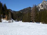 Pista da fondo in Palafavera