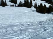 Tracce nella neve fresca