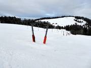 Weißtanne 1 - Skilift a piattello