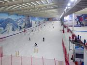 Vista sulla pista principale