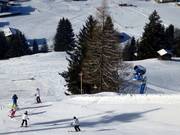 Torre della neve sulla discesa a valle Kleinarl