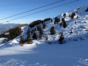 Pendii di neve fresca sopra Vason